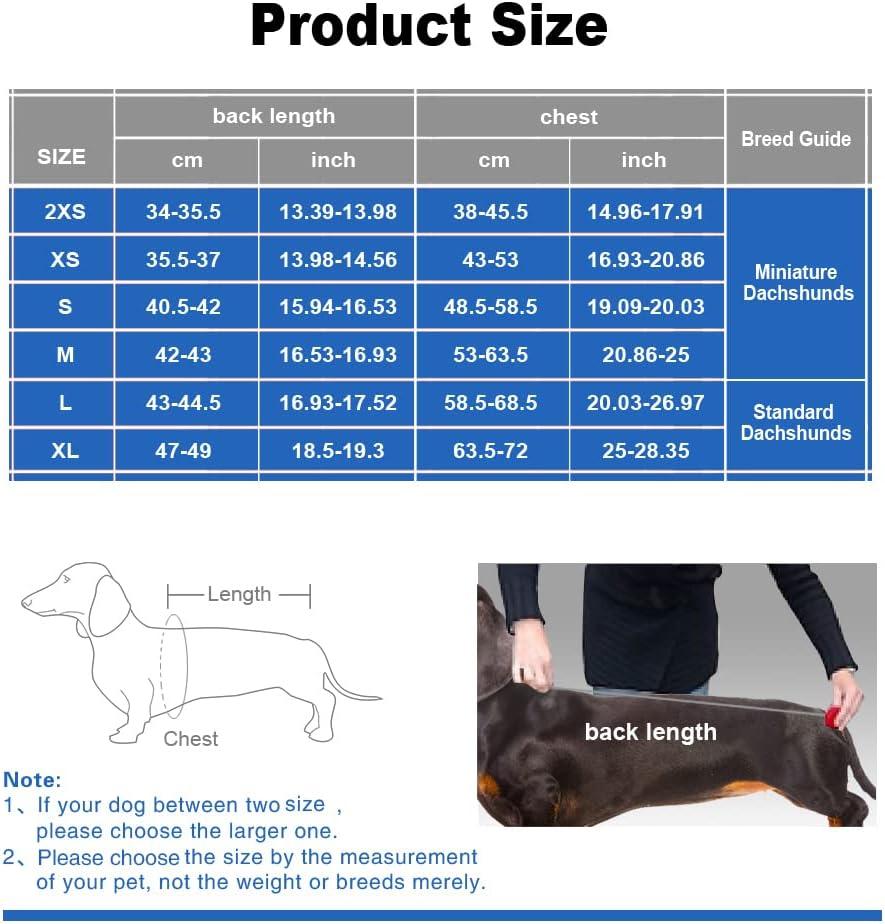 Dachshund clothes size 2025