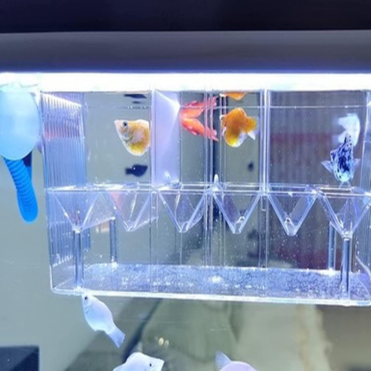 Acrylic Fish Breeding Box | Isolation Breeder Hatchery for Baby Fish,  Shrimp, Clownfish | Buy Now with Express International Delivery |  GoSupps.com