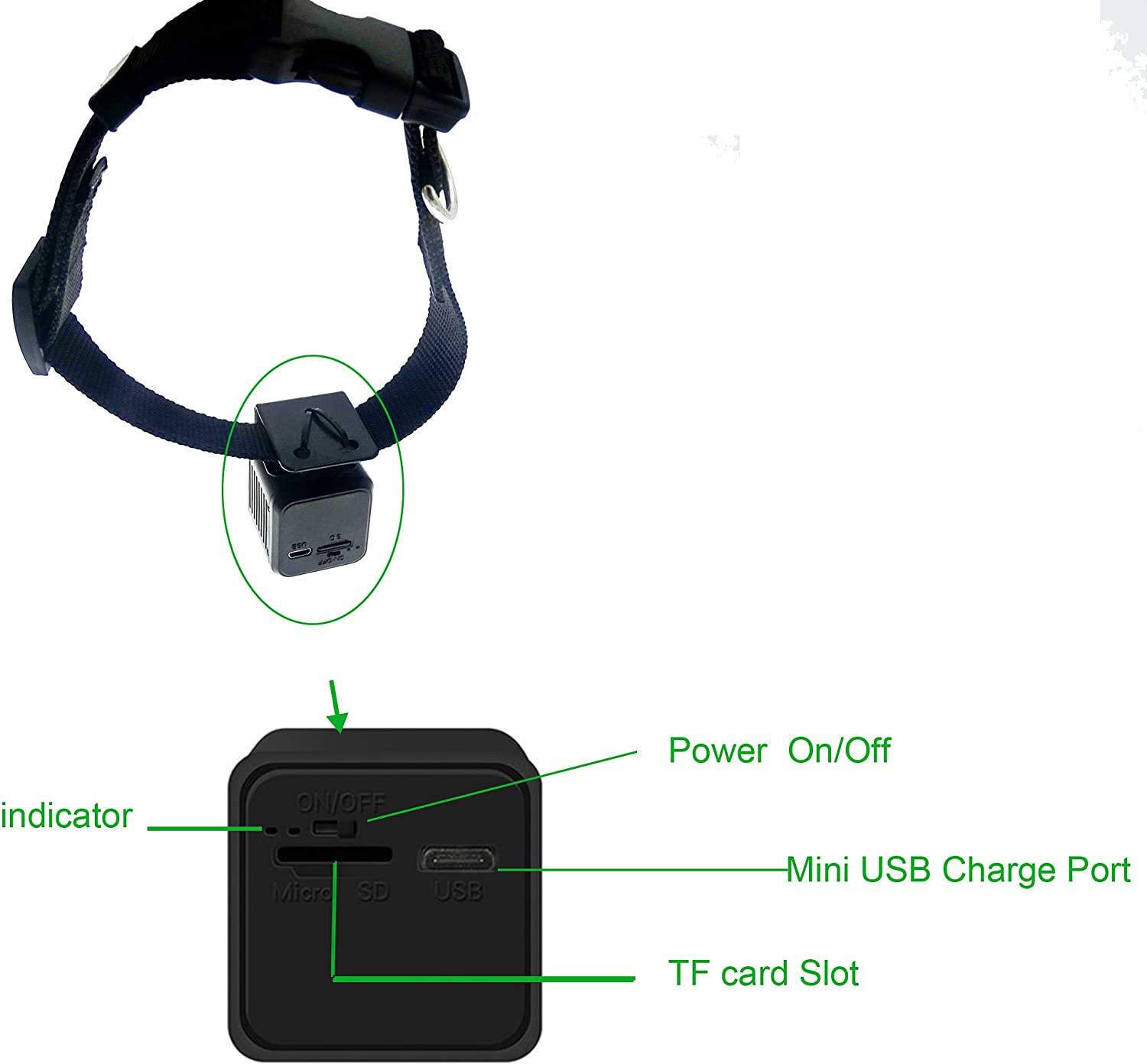 32GB Digital Pet Collar Dog Cam DVR Video Recorder with Monitor Black