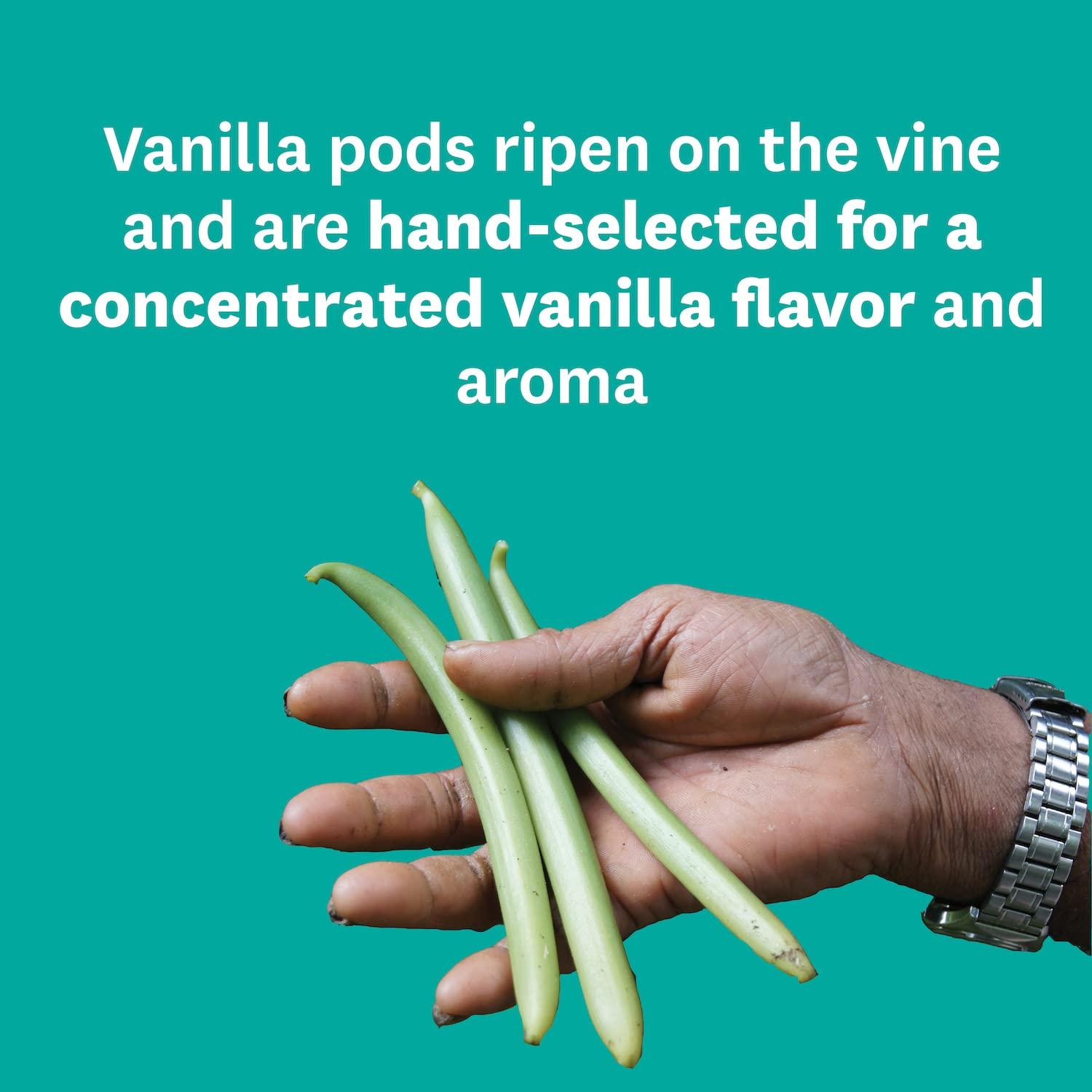 Vanilla Bean Paste for Baking Heilala Vanilla Paste Tube Gourmet