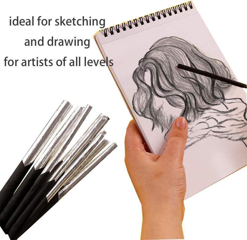 10pcs Vine Charcoal Sticks Willow Artist Soft Charcoal Pencil Sticks