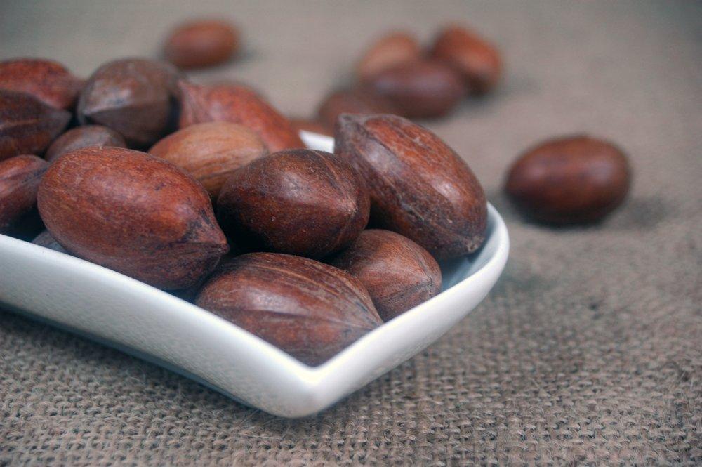 Naturix24 Coriandre - Sachet De 100 G