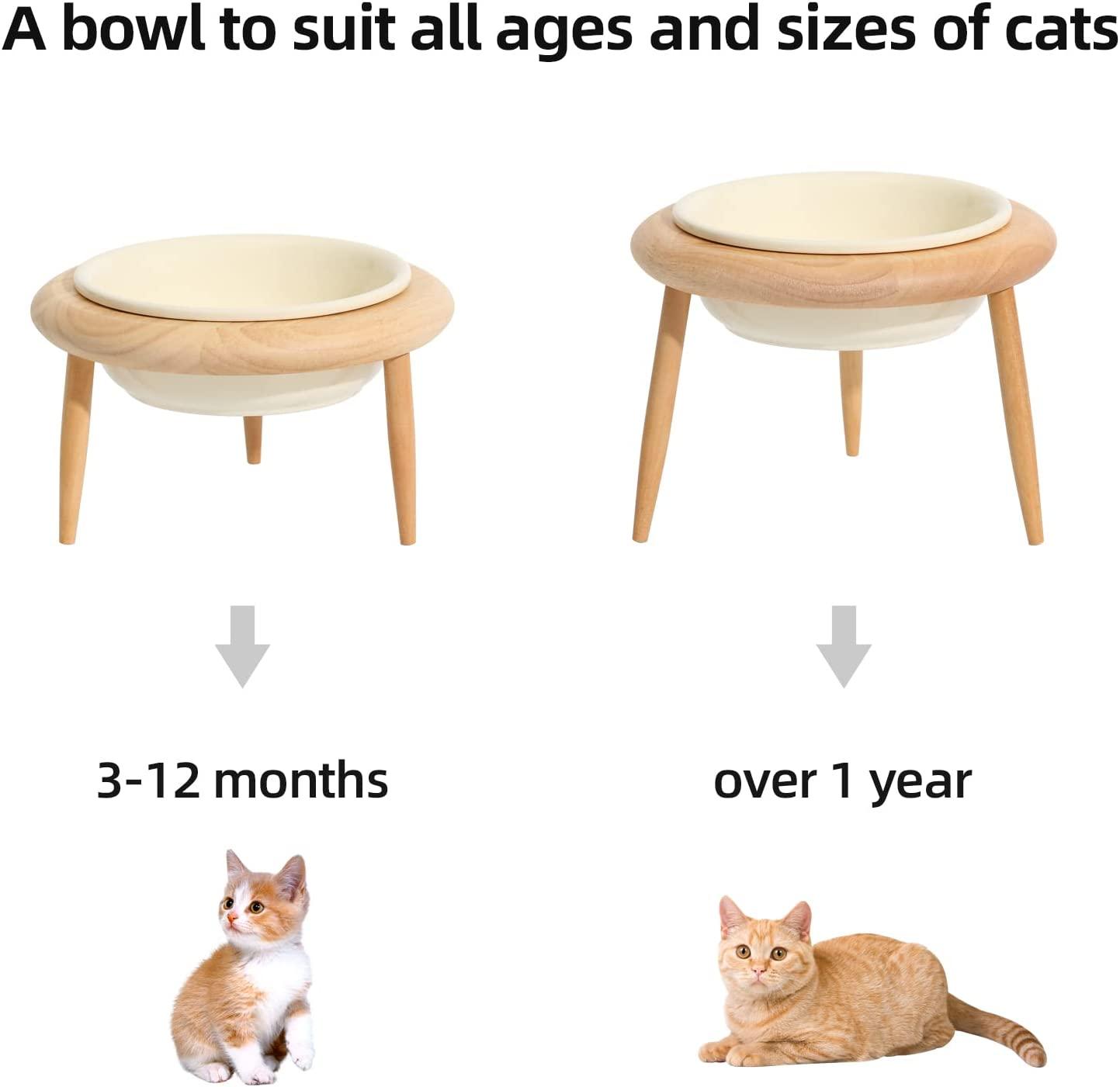 Havniva Ceramics Cat Bowl Adjustable Cat Food Bowl Kitty Bowl Raised Tilted Cat Bowl Cat Water