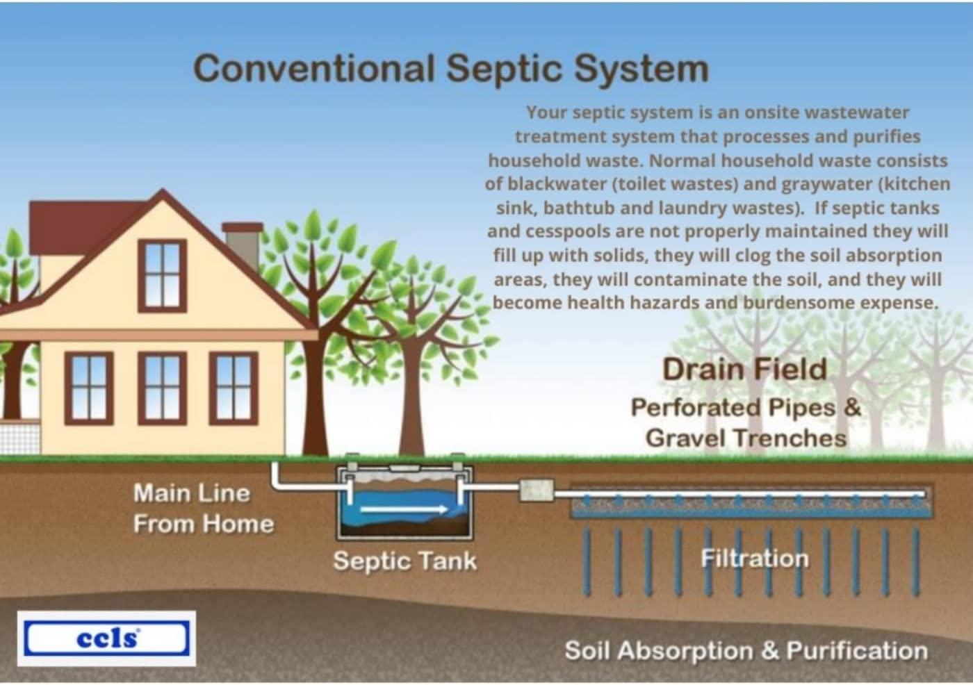 CCLS Septic Tank Treatment Additive Organic Enzyme Producing Bacteria