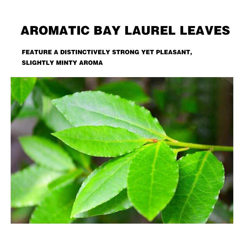 Whole Bay Leaves 2 Ounces Whole Bay Leaf Dried Gluten Free Raw Non