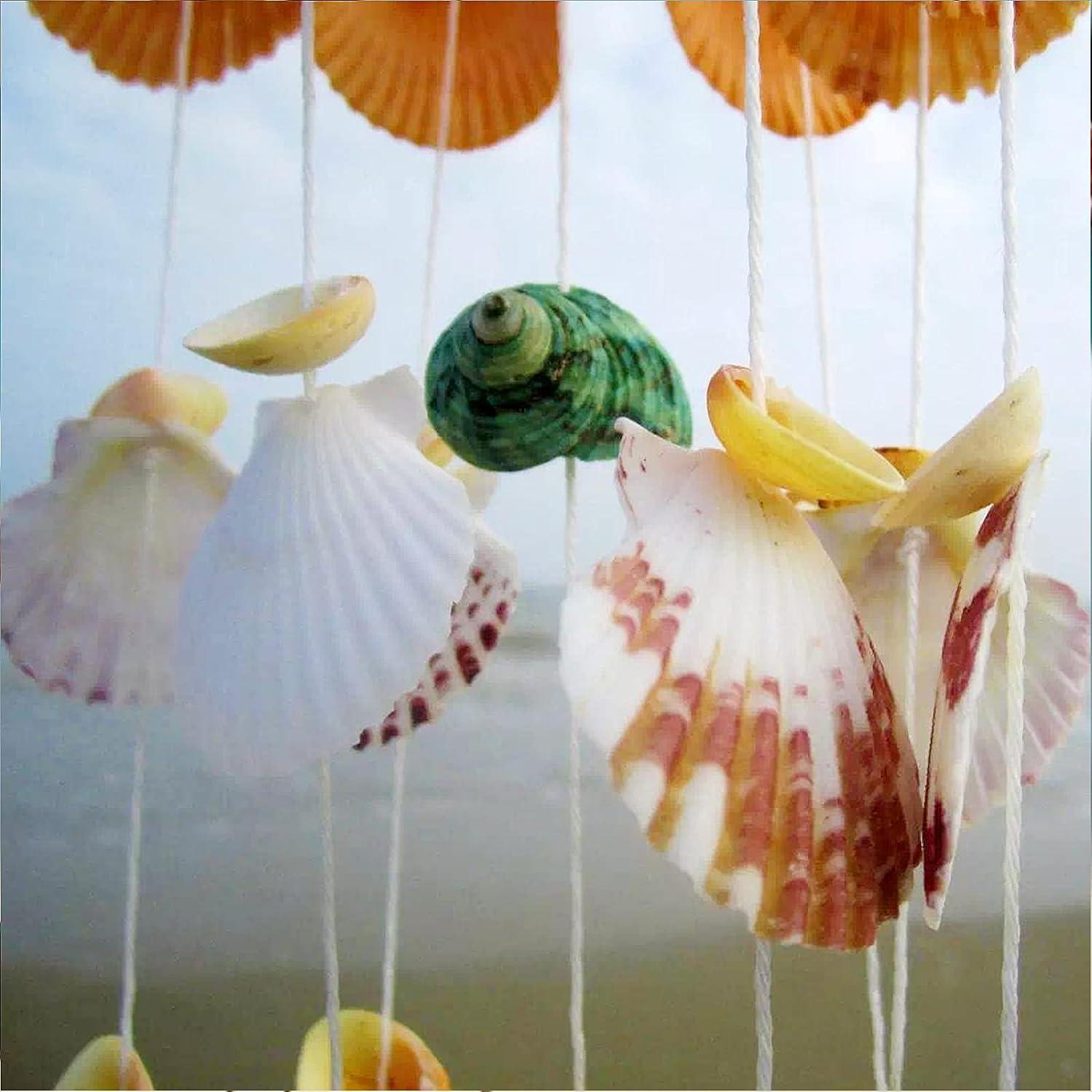 Natural Sea Shells Crafts, Sea Shells Decoration