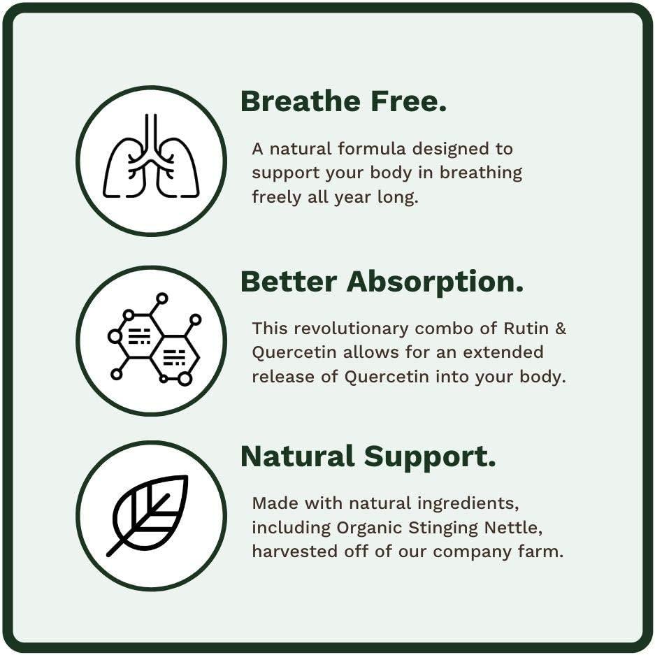 Allurtica Natural Nettle Leaf Supplement Capsules Herbal Supplement