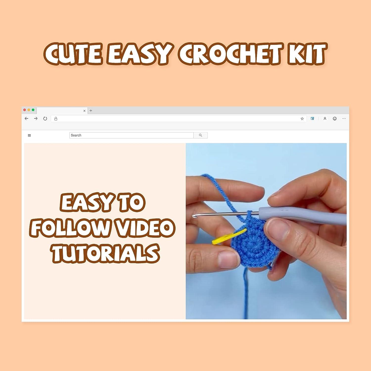 Zeitlicht Crochet Kit for Beginners, Crochet Starter Kit for Adults and  Kids Complete Crochet Set to Make 3 PCS Animals, Learn to Crochet with  Step-by-Step Instruction and Video (Penguin+Dinosaur+Owl)