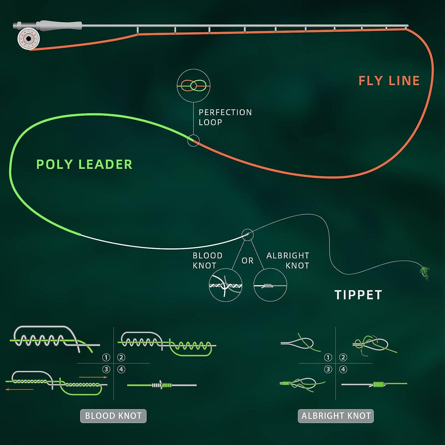 Tippet How To Setup A Fly Fishing Line How To Fly Line Setup