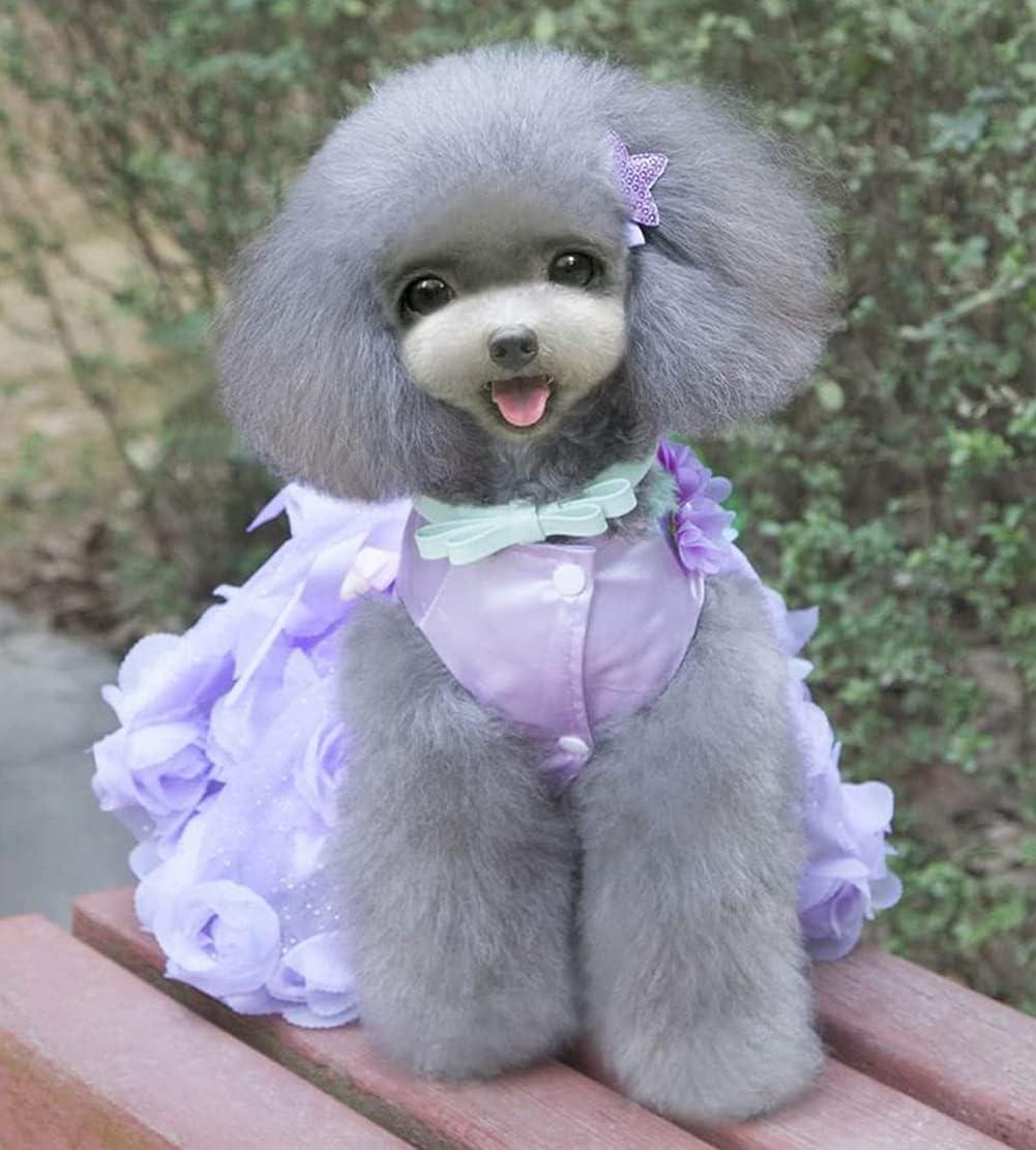 Luxury Puppy Skirt & Dog Dress - Princess Clothing for Small Dogs | Wedding  Evening & Tutu Styles in XL Purple | Buy Now with Express International  Delivery | GoSupps.com