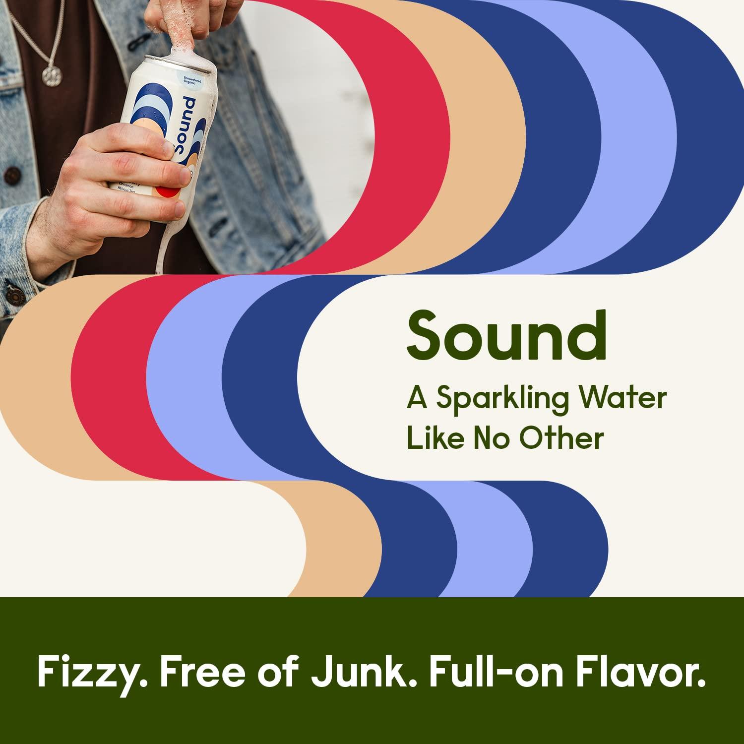 Organic Blueberry Cinnamon Hibiscus Tea Sparkling Water Zero Calories