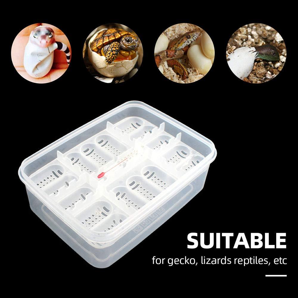 16 Grids Reptiles Eggs Incubator Tray, Amphibians Hatchery