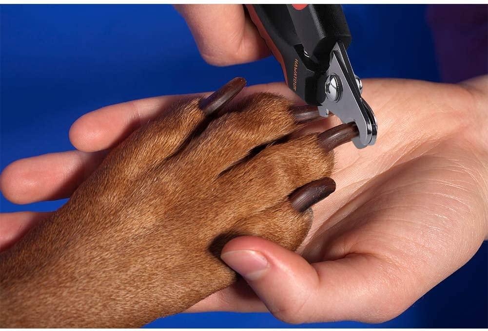 HAWATOUR Dog Nail Clippers, Professional Pet Nail Clipper & Trimmers with S Hawatour Dog Nail Clippers, Professional Pet Nail Clipper