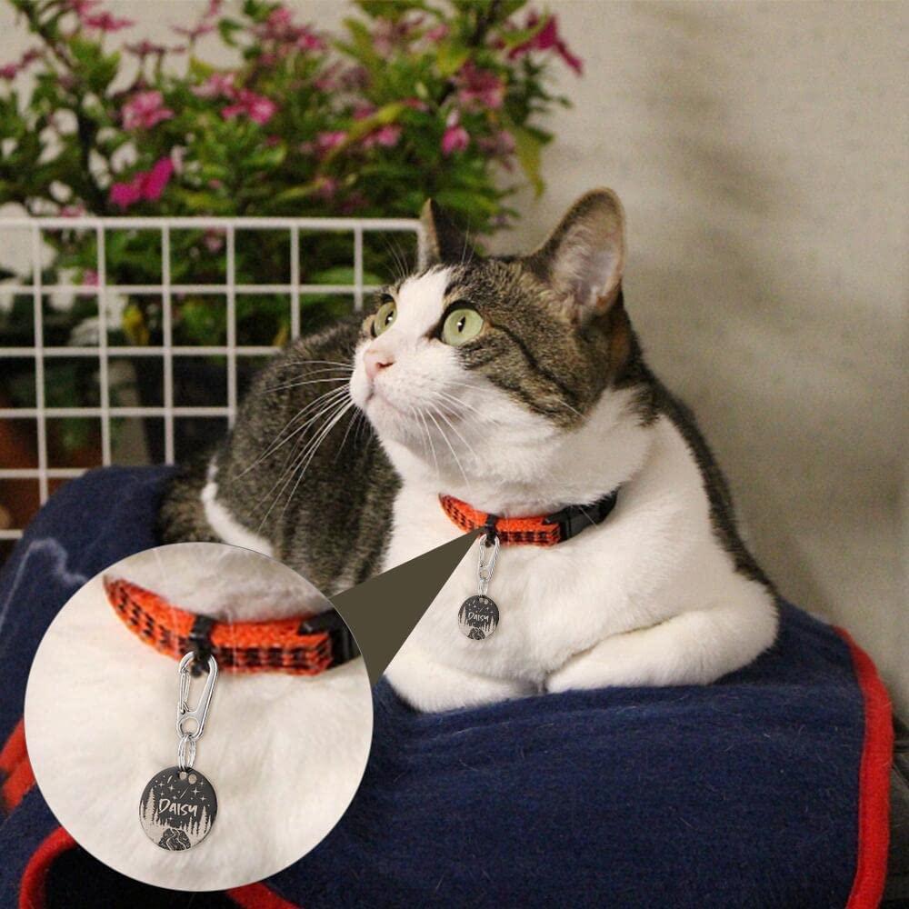Cat collar deals engraved tag