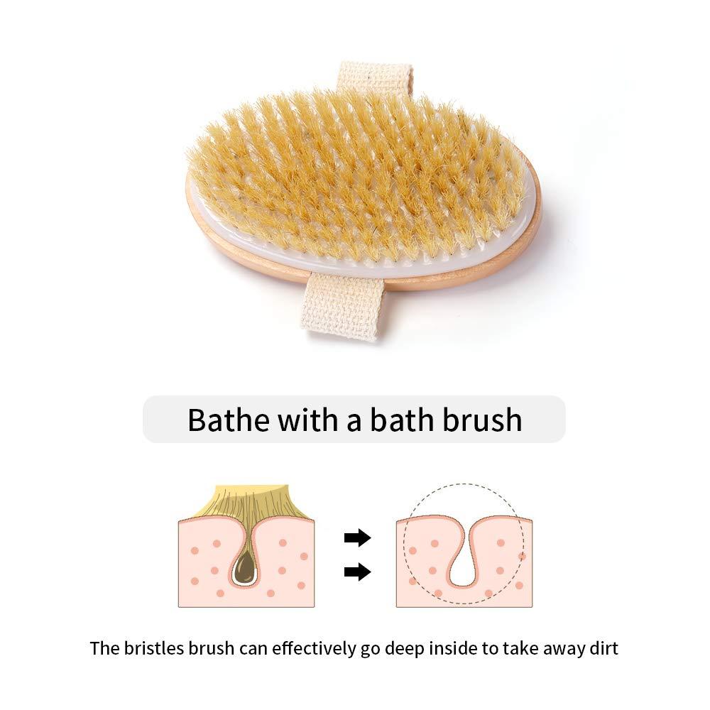 Zhurson Oval Dry Brushing Body Bath Brush - Natural Bristles for ...