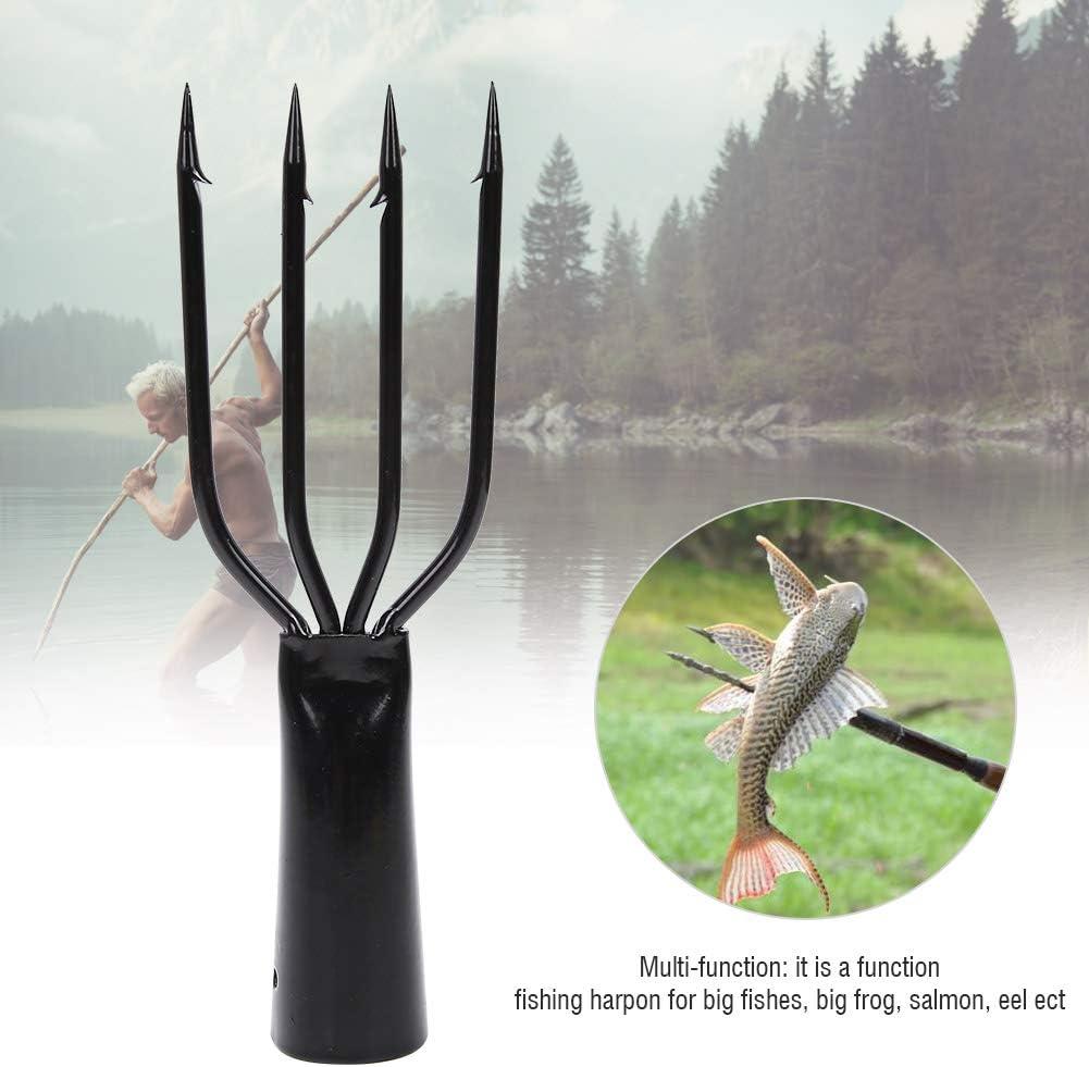 Stainless Steel Fish Spear | Frog Gig Barbed 4 Prong Tine Harpoon | Fishing  Fork Hook Screw for Spearfishing | Game Hunting Tool | Buy Now with Express  International Delivery | GoSupps.com