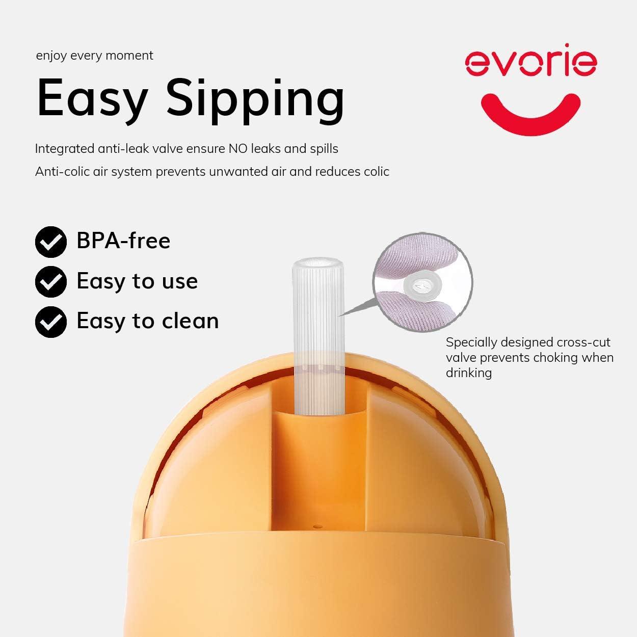  Evorie Tritan Toddler Sippy Cup with Silicone Straw,  Spill-Proof Straw Water Bottle for Kids 1-4 Years Old, 10 oz, Removable  Handles, Ideal for School : Baby