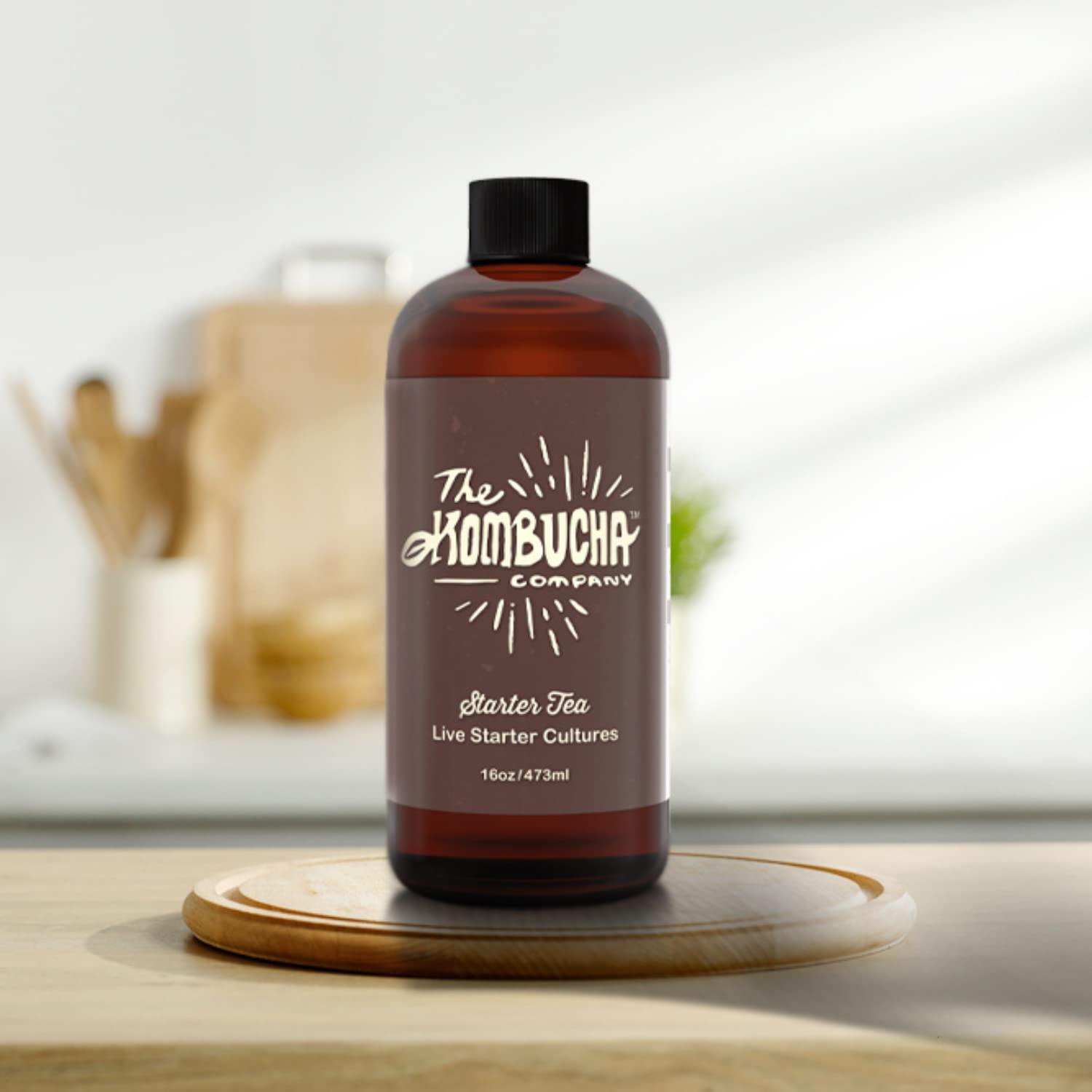 The Kombucha Company Large Kombucha SCOBY 16 Ounce Bottle of Strong