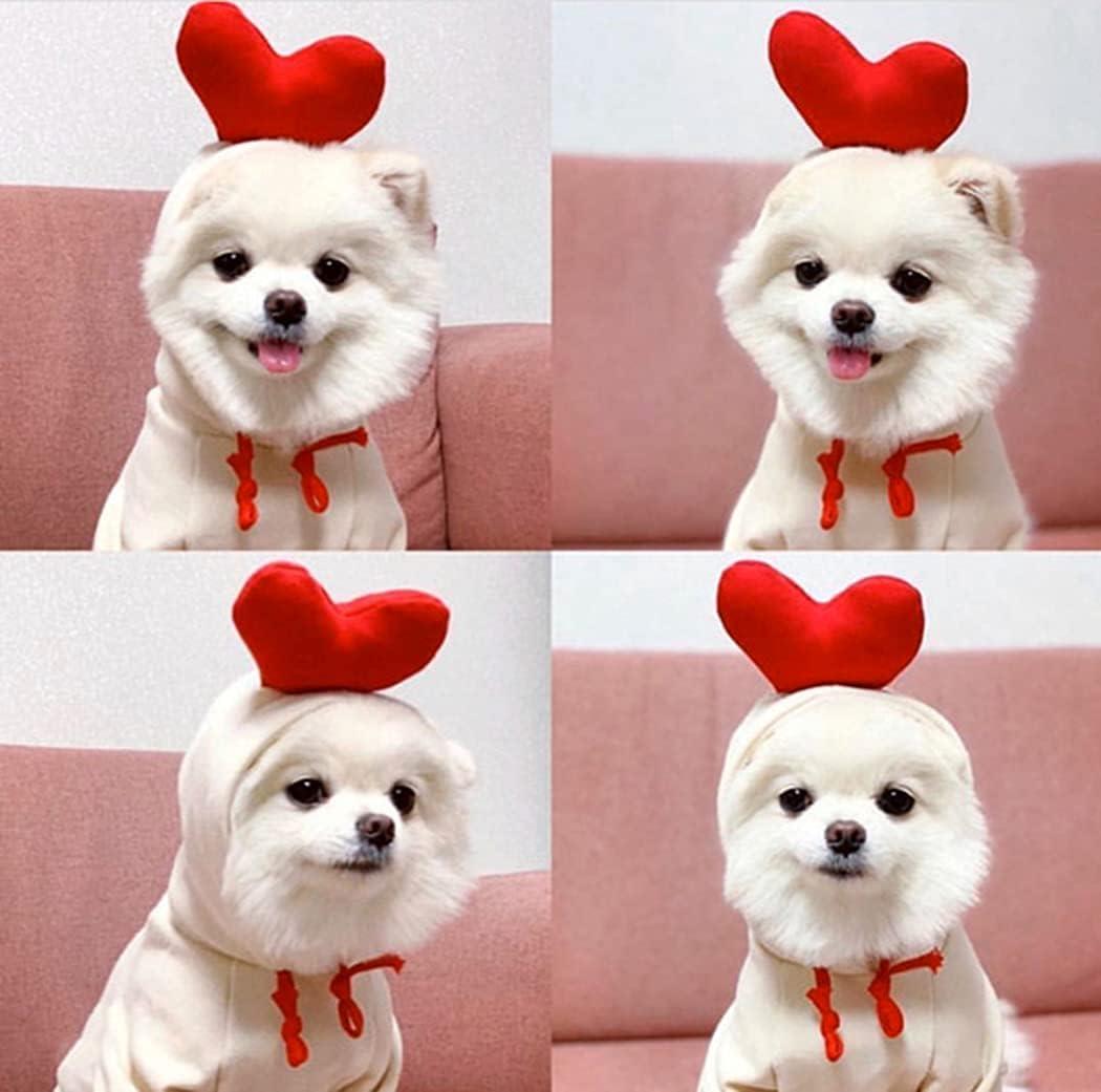 Xiaoyu Warm Pet Dog Hoodies - Autumn Winter Sweatshirt Coat for Puppies -  XXL 2XL Blue with Fruit Hood | Buy Now with Express International Delivery  | GoSupps.com