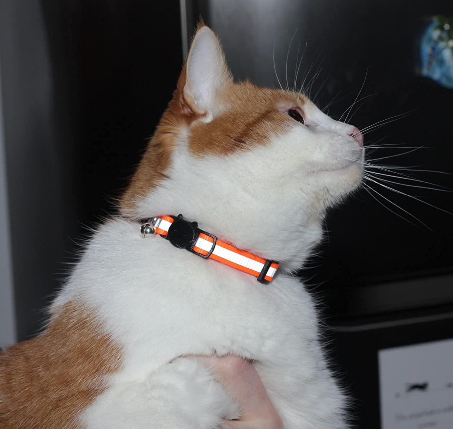 Reflective cat collar with bell shop