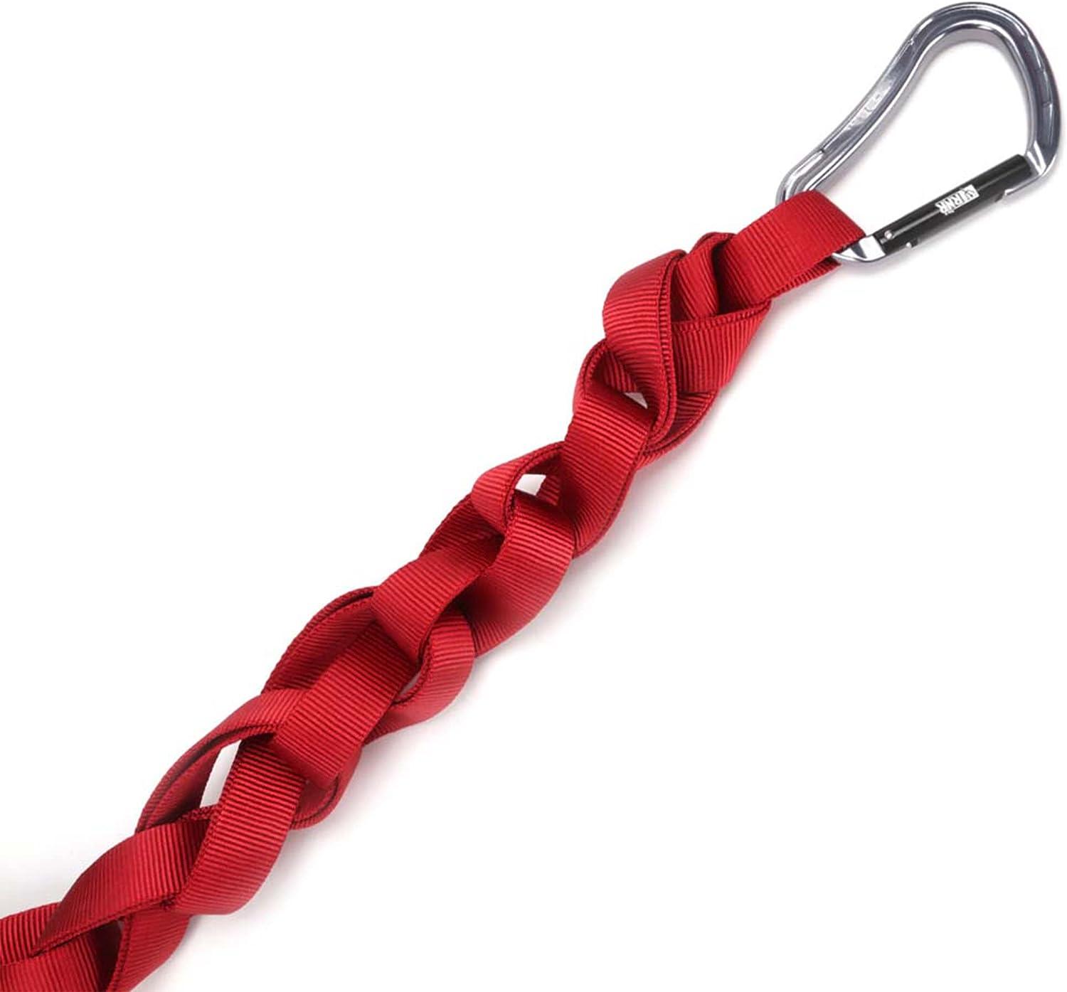 RockNRescue 20Foot HeavyDuty Tubular Nylon bing and Carabiner