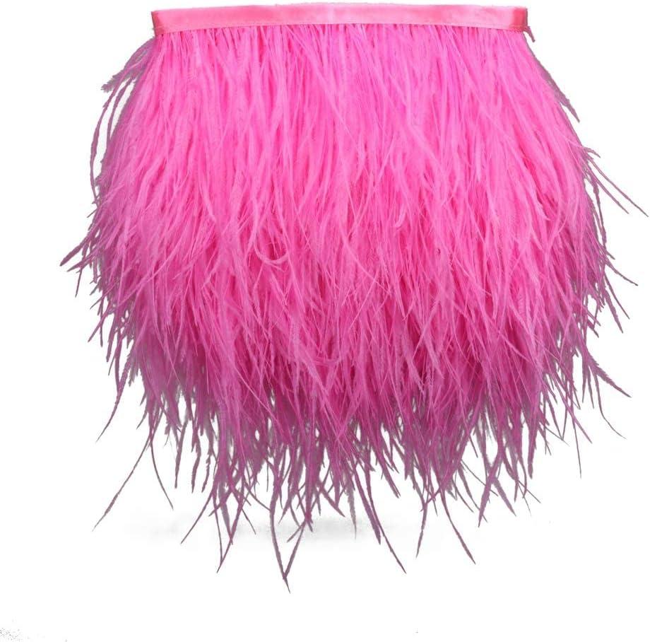 THARAHT Peach Red Ostrich Feathers Trim Sewing Fringe 2Yard 4-6inch for DIY  Dress Sewing Craft Clothing Latin Wedding Dress Decoration Ostrich Feather