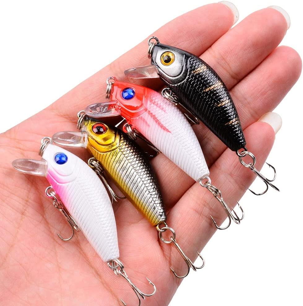 Aorace Fishing Lures Kit - 43pcs Minnow Popper Crank Baits for Saltwater  Freshwater Trout Bass Salmon Fishing | Includes Hooks | Mixed Variety