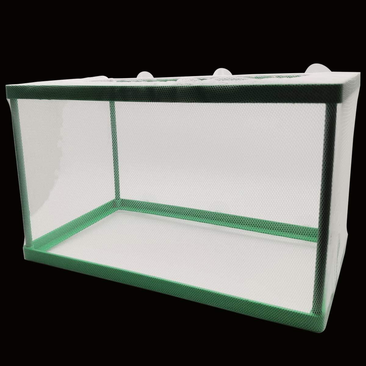 Stabiele Baby Vis Separator Voor Aquarium, Acryl Kwekerij