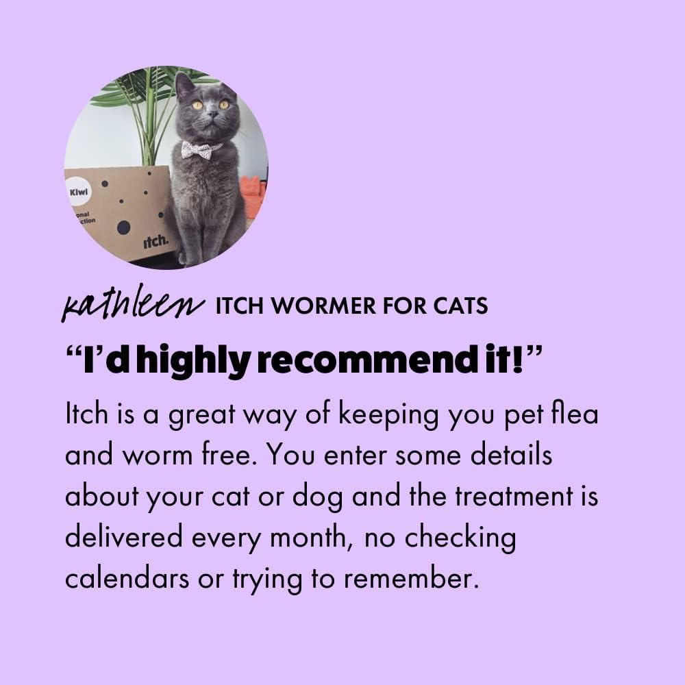 Itch Worming Tablets for Cats 1kg+ 2 Tablet Treats Roundworms and Tapeworms Kills Worm