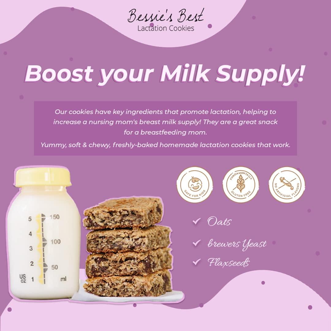 Bessie's Best Lactation Support Cookies Soft PB Chocolate Chip