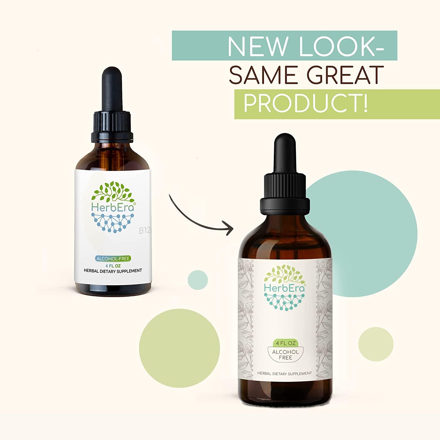 Artichoke B120 AlcoholFree Herbal Extract Tincture, Concentrated Liquid Drops Natural Artichoke