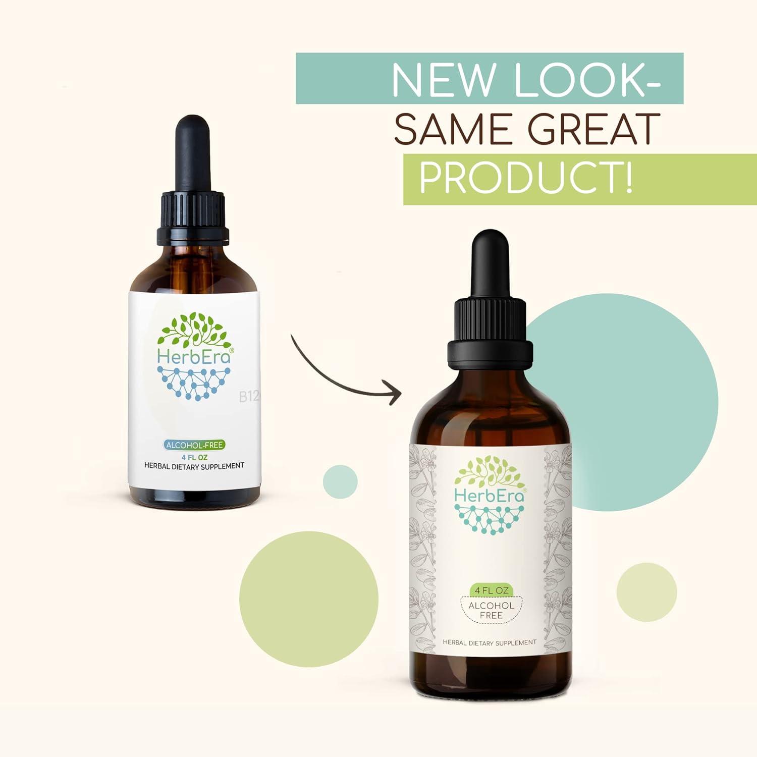 Skullcap B120 AlcoholFree Herbal Extract Tincture Concentrated Liquid