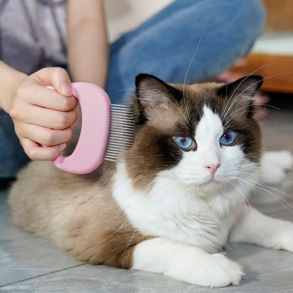 Dematting best sale cat comb