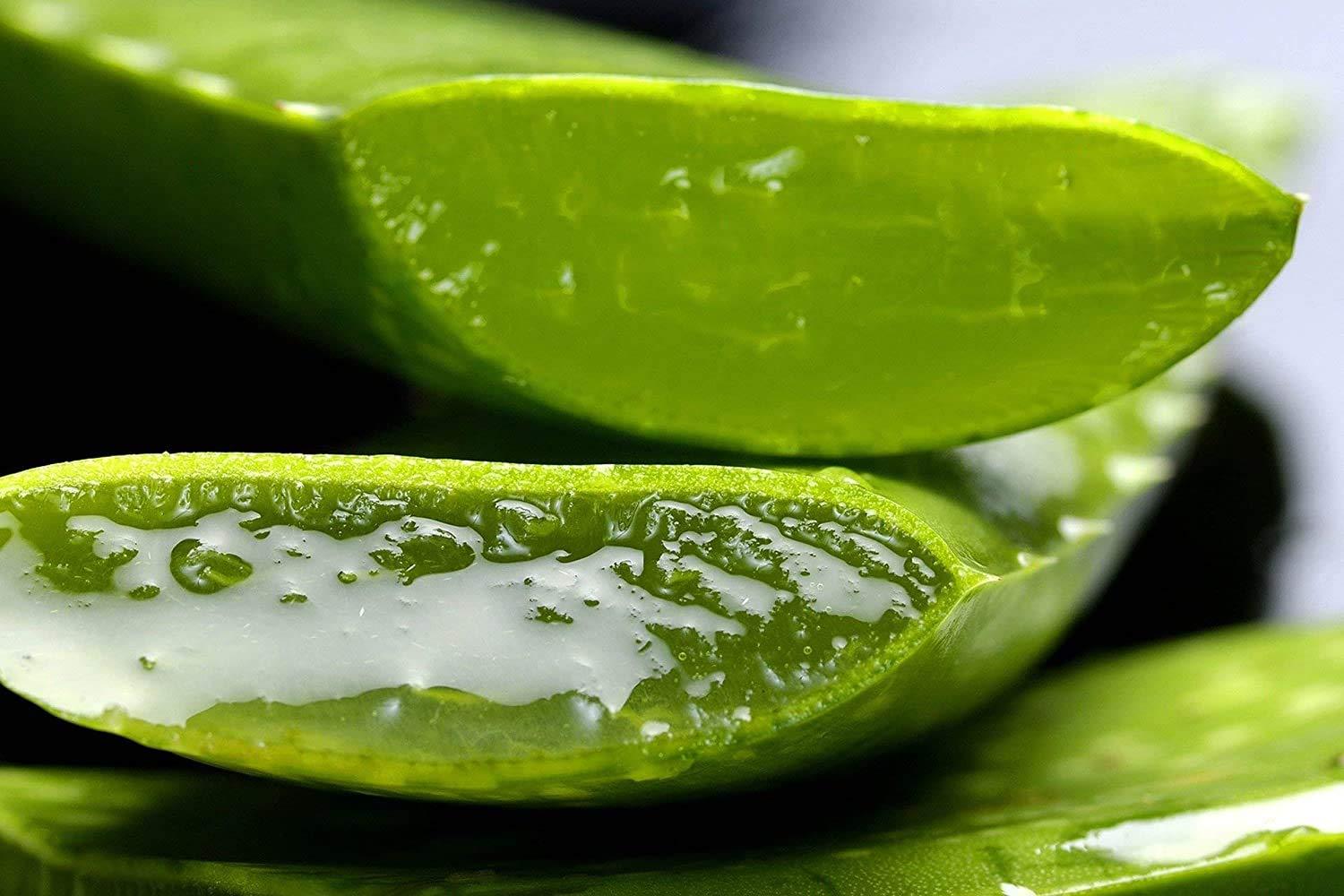 vitamin e with aloe vera Aloe Vera & Vitamin E Bar Soap – Soapworks US main image 1