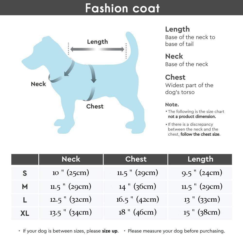 Do Poodles Need Winter Coats