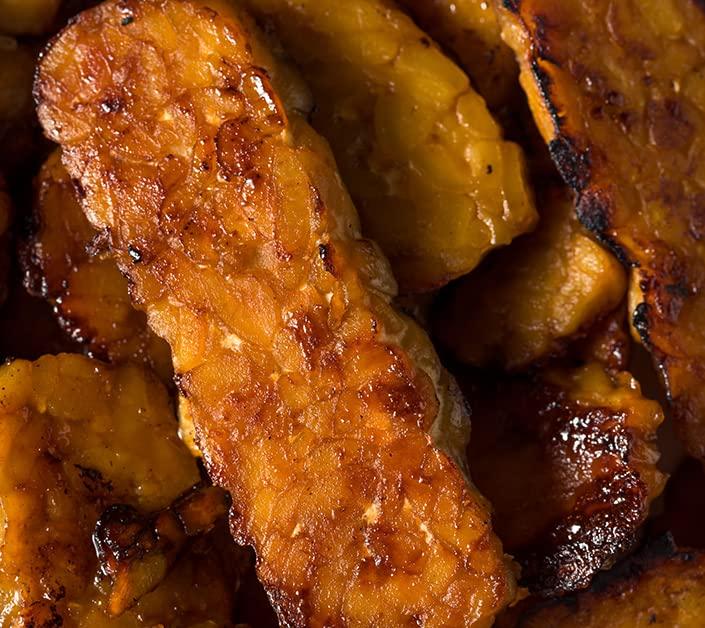 Cultures for Health SoyFree Tempeh Starter Culture Healthy Meat