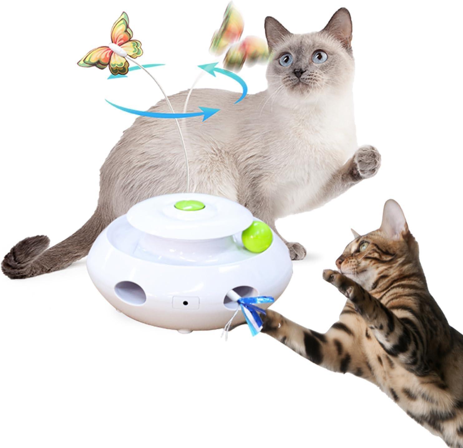 Migipaws