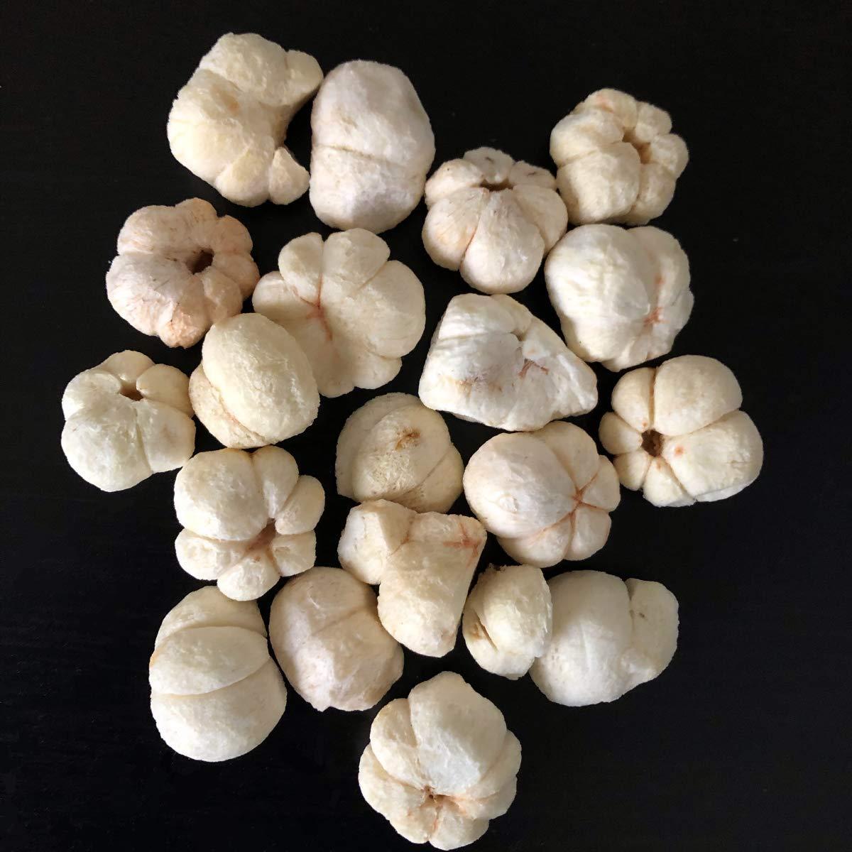 Organic FreezeDried Mangosteen Premium Quality Superfood