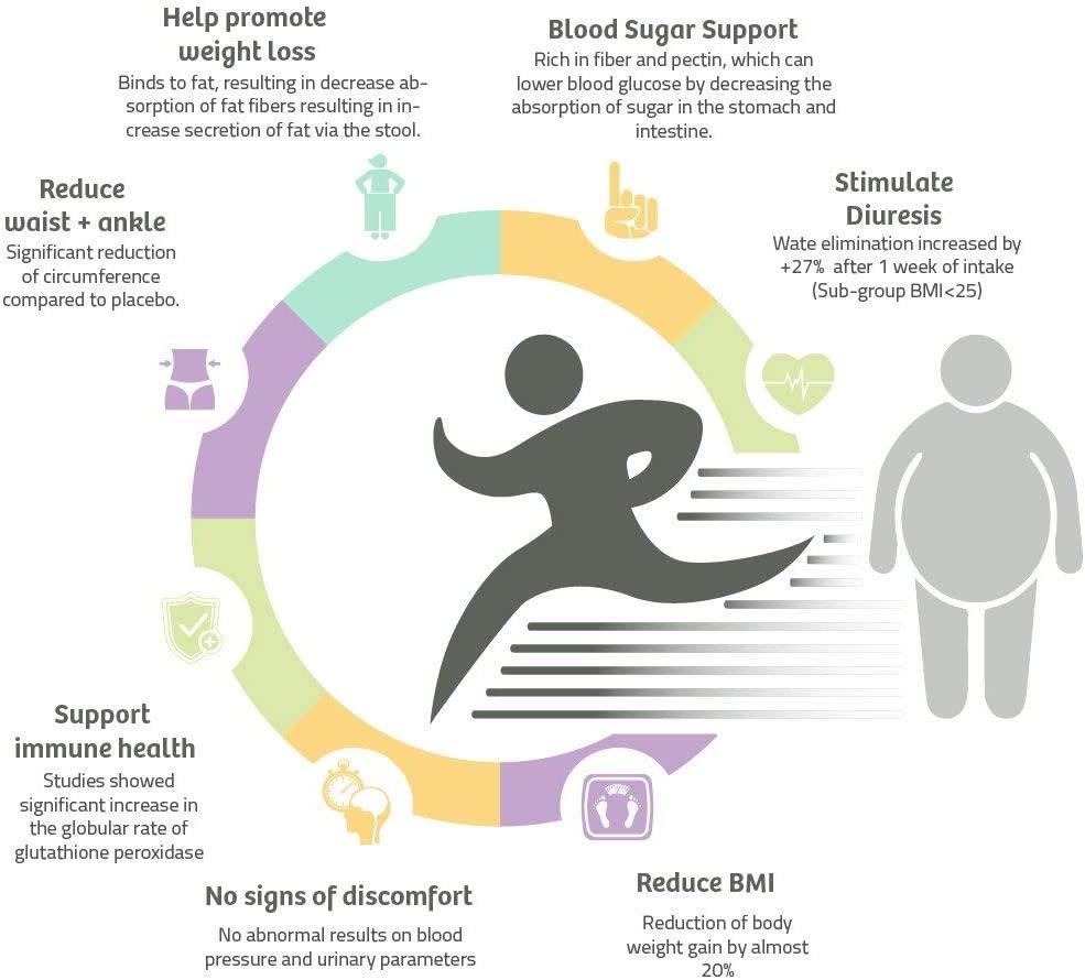 Organic 3Day FatBurn Cleanse with 15 Vegan Lattes & Blender Bottle