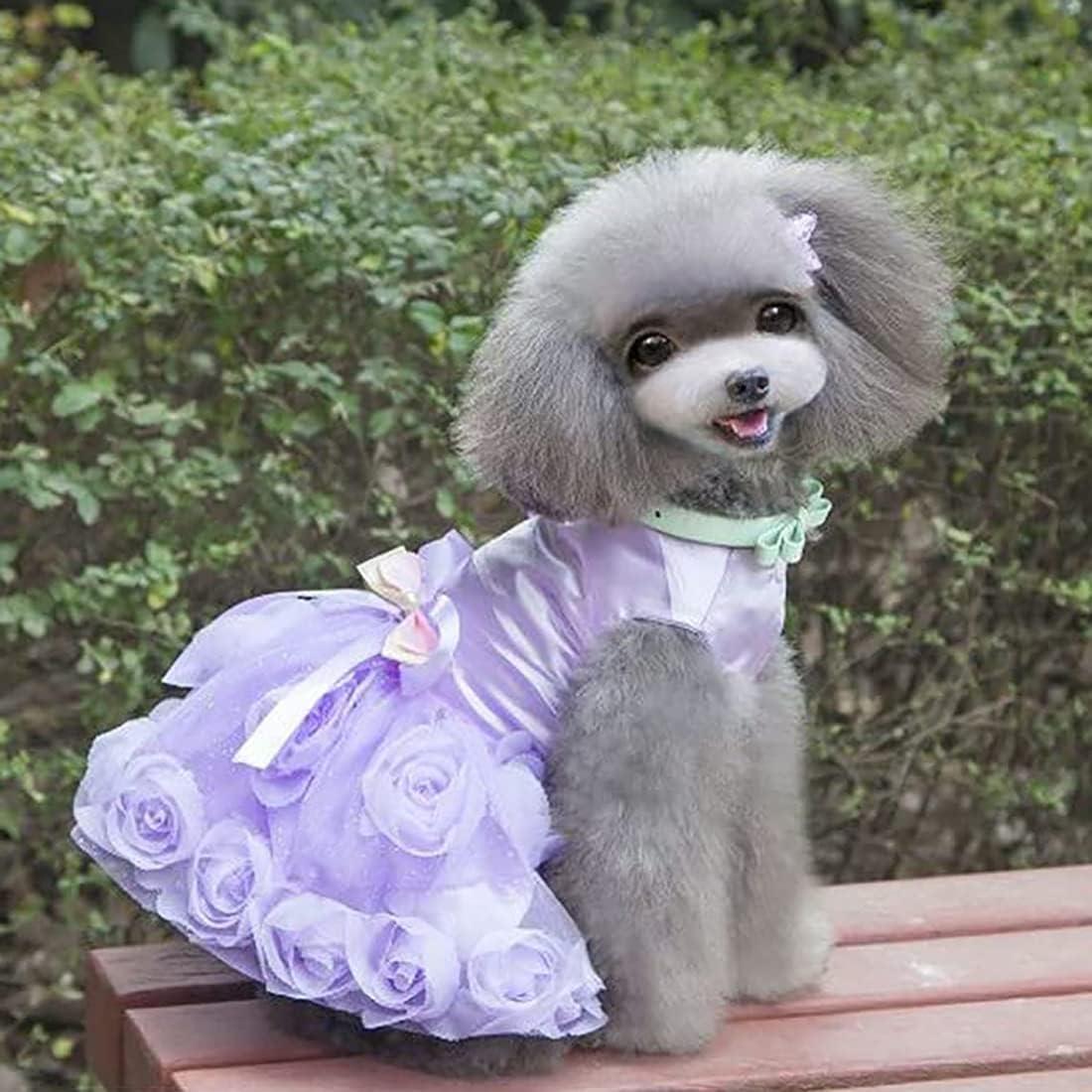 Luxury Dog Dress - Puppy Tutu Skirt & Princess Wedding Evening Outfit -  Elegant Bowknot Design for Little Dog Girls - XXL Purple | Buy Now with  Express International Delivery | GoSupps.com