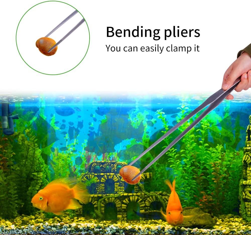 Fish Tank Starter Kit 24