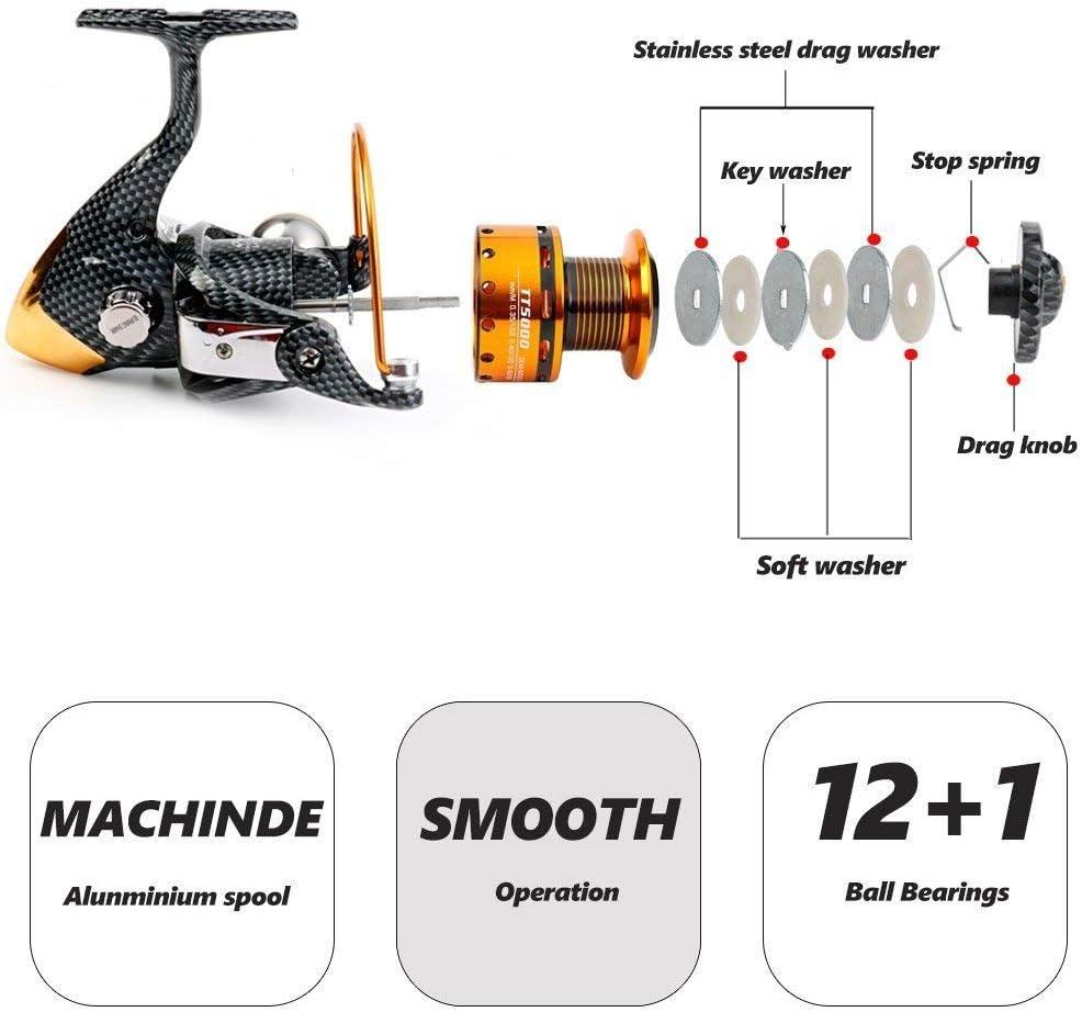Burning Shark Fishing Reels- 12+1 BB, Light and Smooth Spinning Reels,  Powerful Carbon Fiber Drag, Saltwater and Freshwater Fishing TT1000
