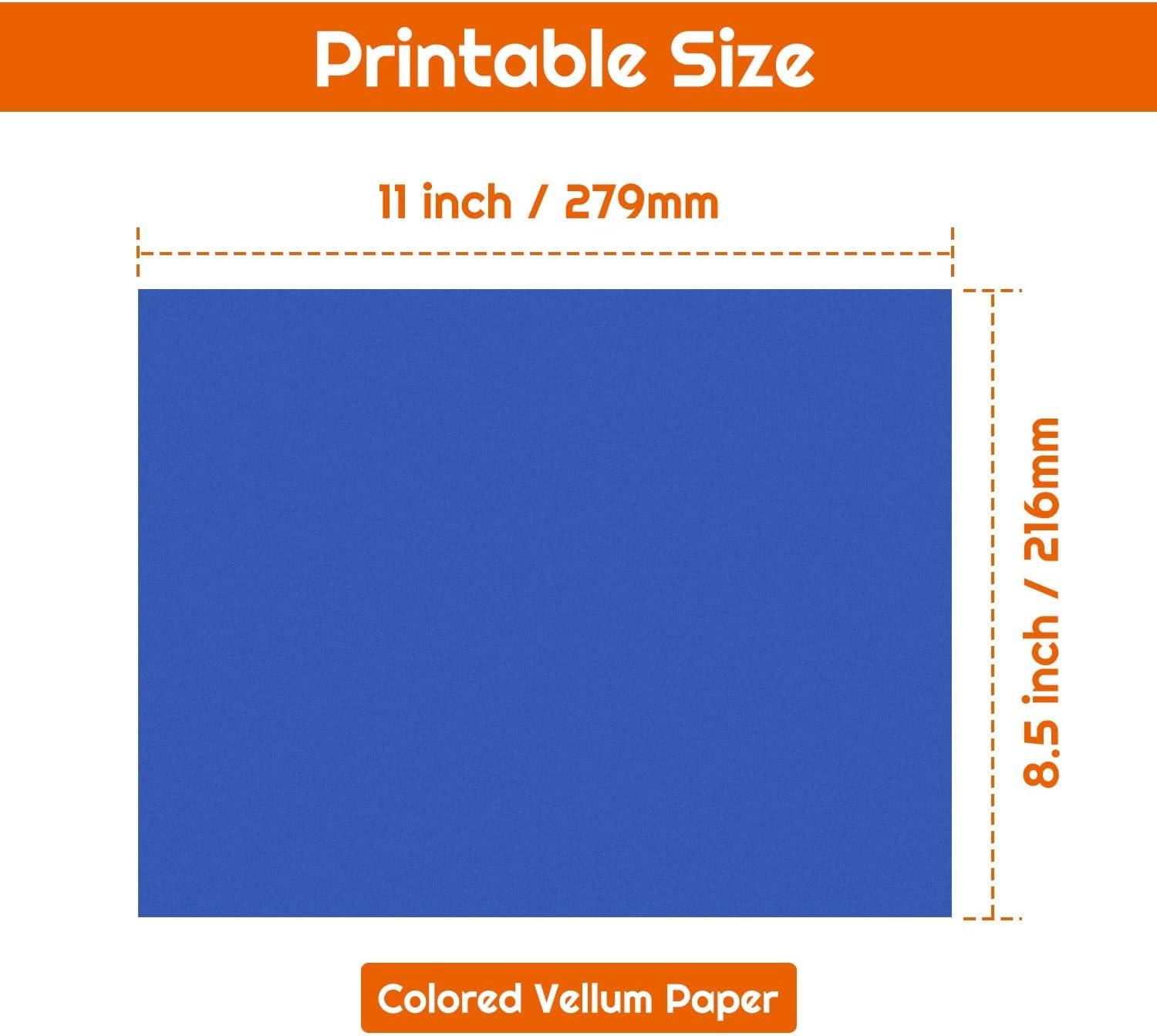 Shynek Colored Vellum Paper 50 Sheets, 10 Colors 8.5 x 11
