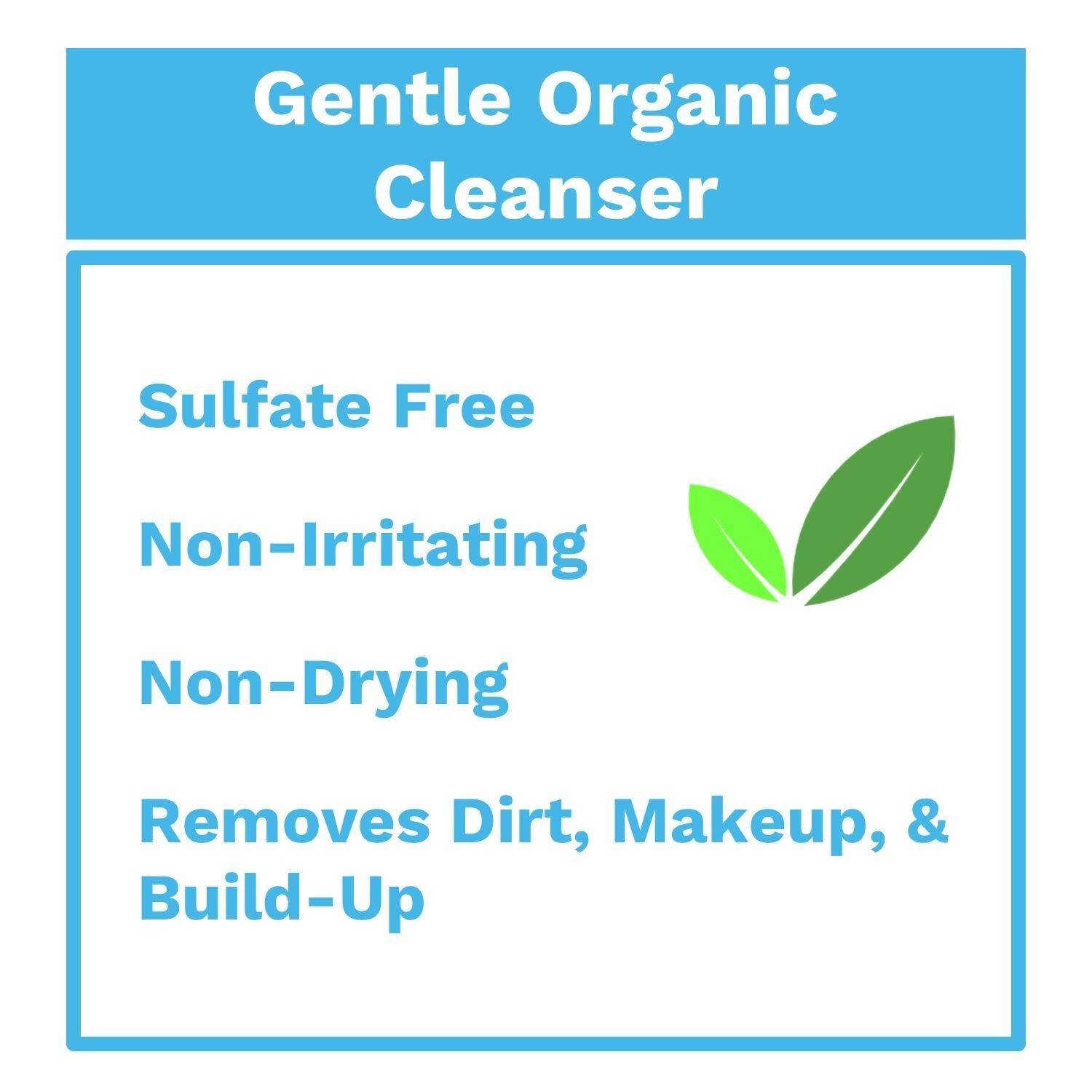 Block Island Organics Purifying Facial Cleanser Vitamin C and E Natural Antioxidants EWG