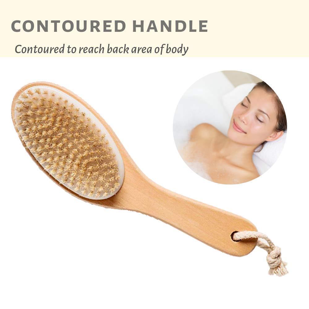 100% Natural Boar Bristle Body Brush with Contoured Wooden Handle by TOUCH  ME