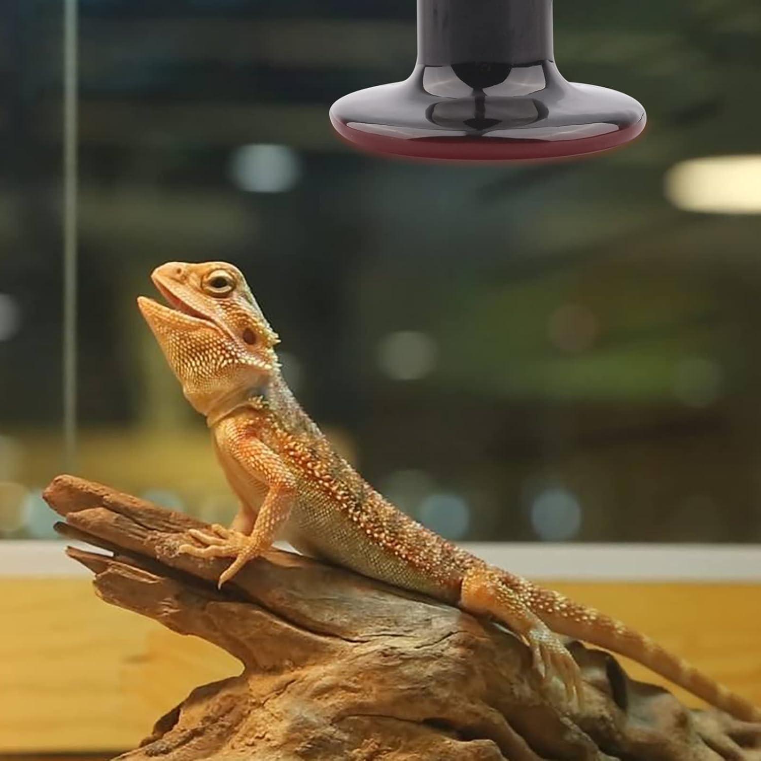 B22 ke E27 konverter adaptor bohlam lampu, konverter dudukan lampu dasar soket u