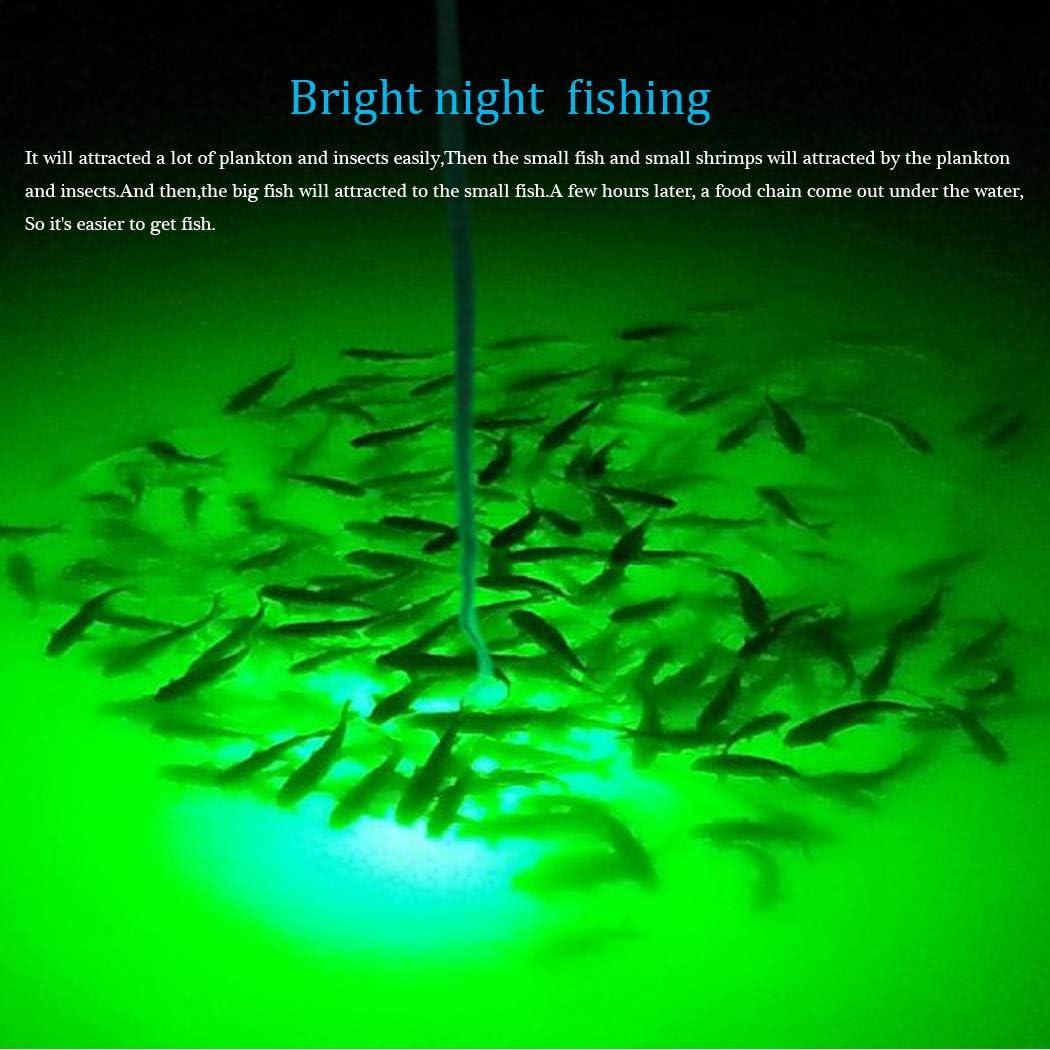 YIDAZN Underwater Fishing Light 12V 20W Super Bright LED, Night