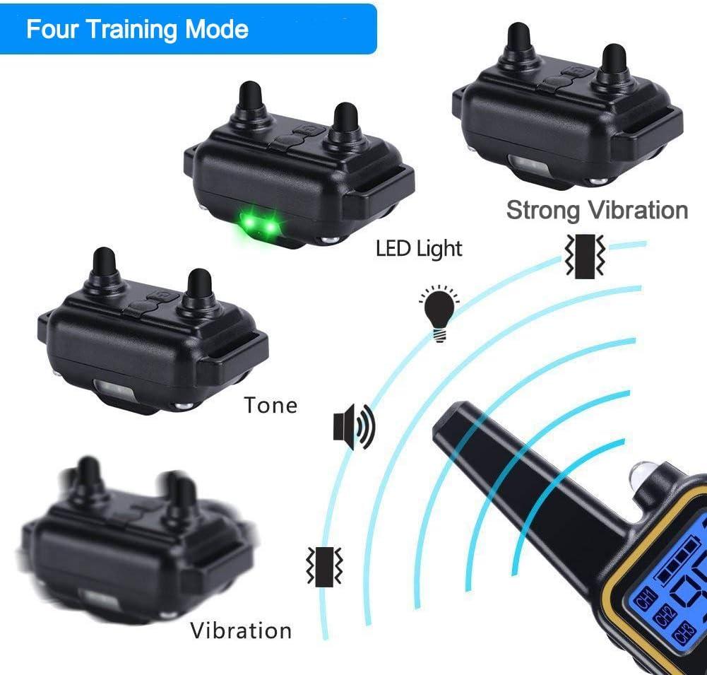 best vibration music The 10 Best Dog Training Collars of 2025 main image 1