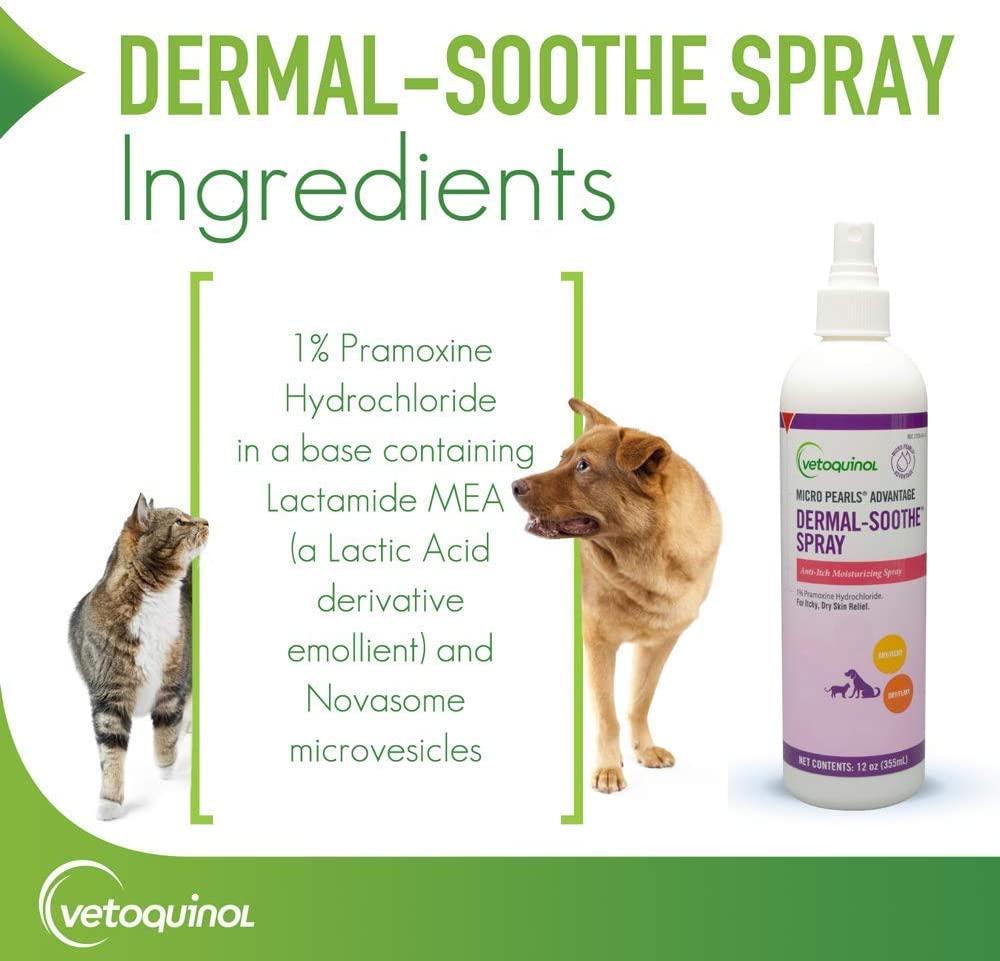 DermalSoothe AntiItch Spray 12 oz