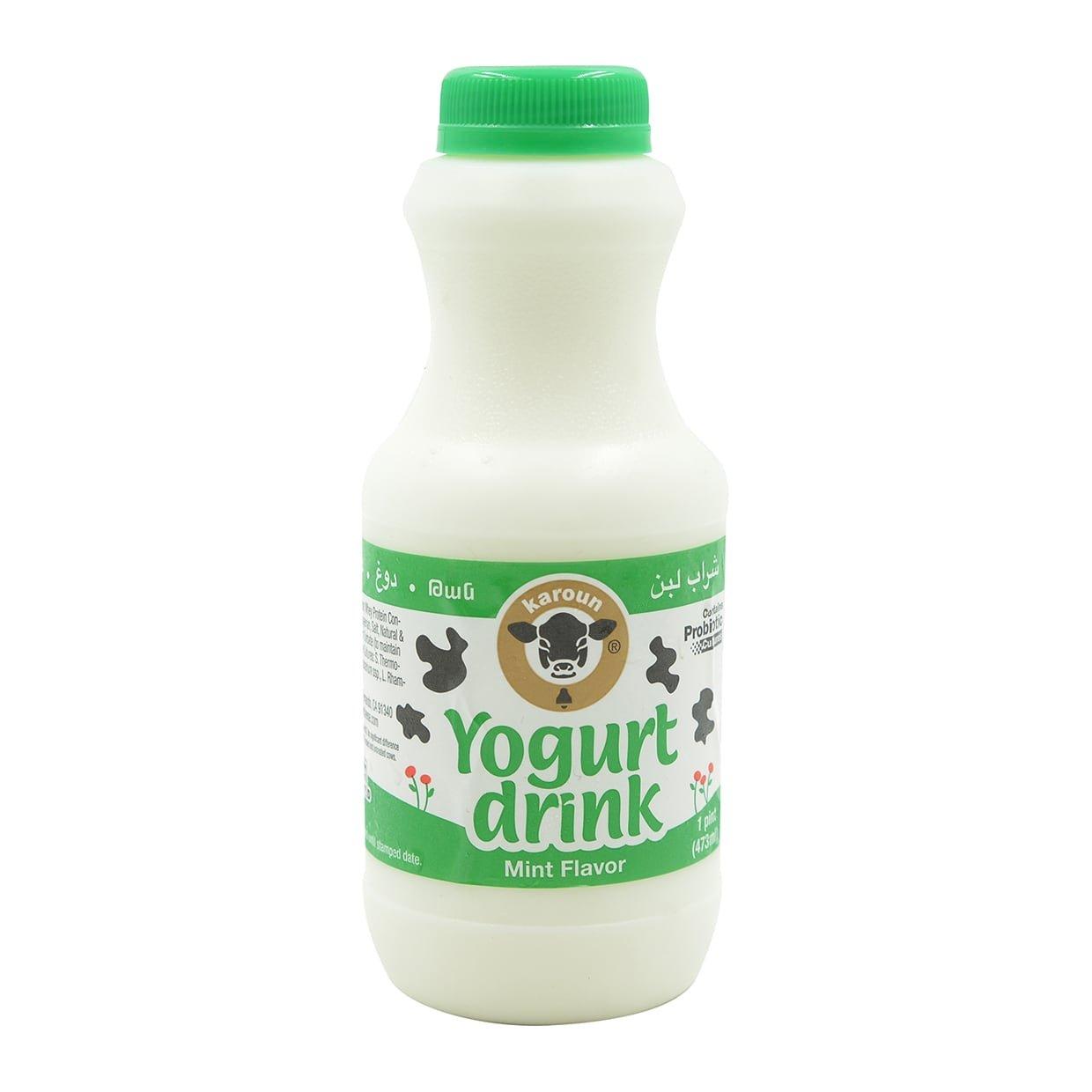 KAROUN Mint Yogurt Drink 16oz Probiotic Beverage for Digestive Health
